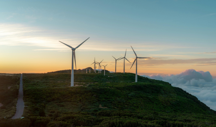 Challenges Facing Clean Energy Startups